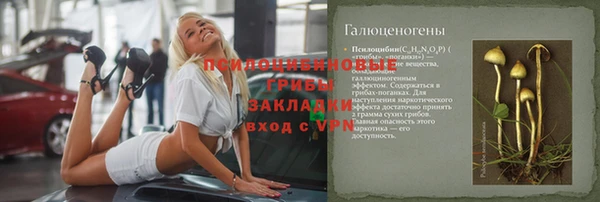 молекула духа Бугульма