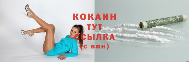 jwh Белокуриха
