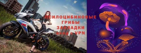 соль ск Бородино